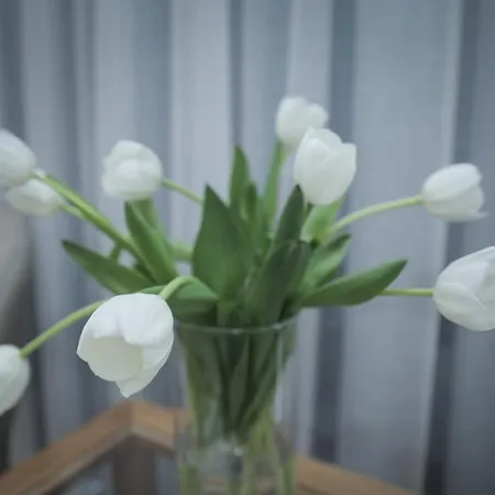 Casa Condessinhas Lousã