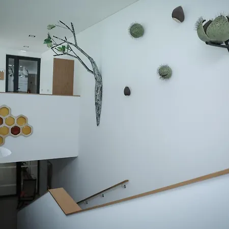 Κατάλυμα σε φάρμα Casa Condessinhas *